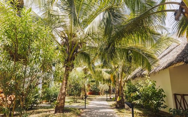 Hotel Jaz Adonia Beach Resort