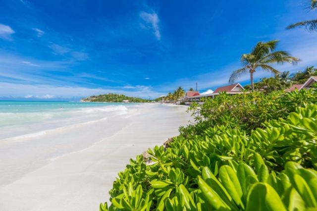 Pineapple Beach Club