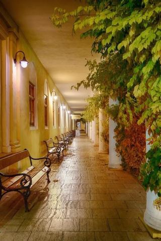 Ensana Health Spa Hotel Pro Patria