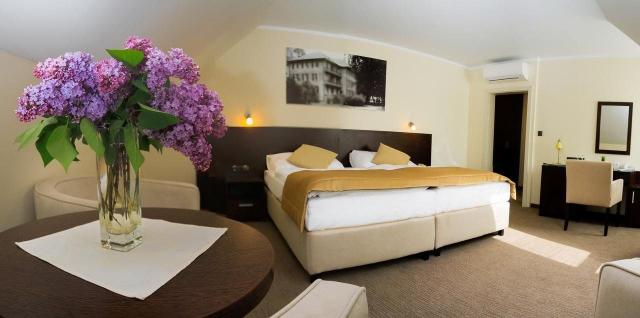 Ensana Health Spa Hotel Pro Patria