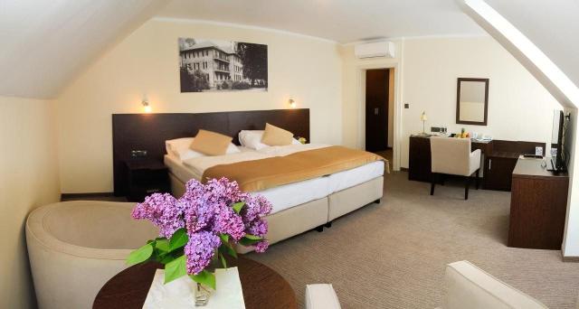 Ensana Health Spa Hotel Pro Patria