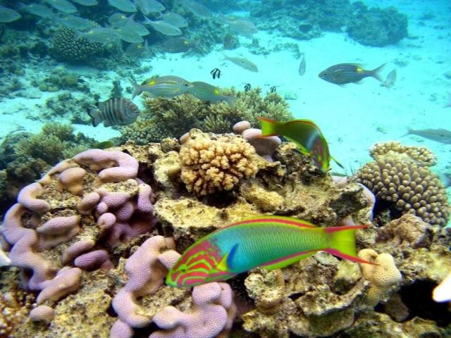The Rarotongan Beach Resort & Lagoonarium