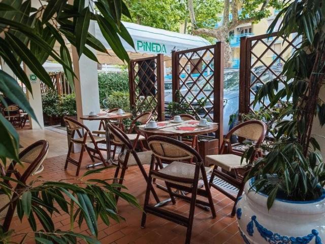 Aparthotel Pineda