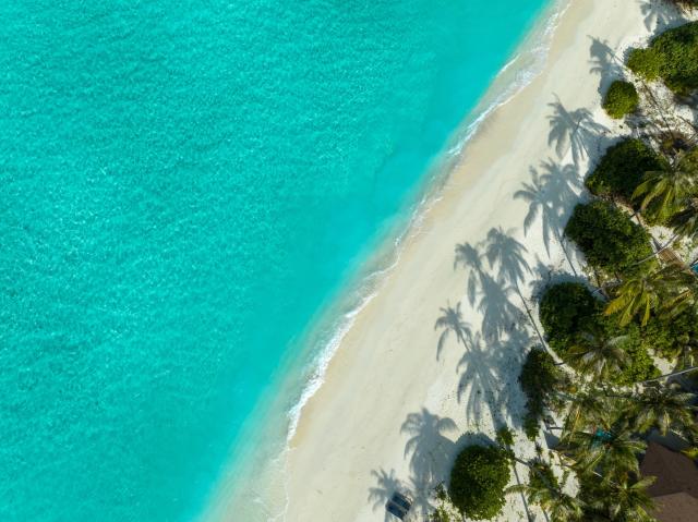 Avani+ Fares Maldives