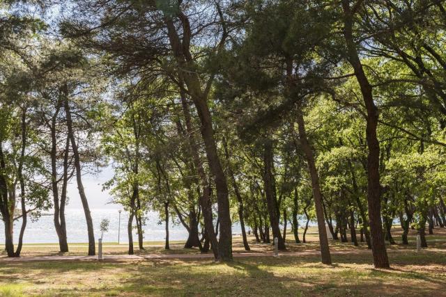 Istrian Villas Plava Laguna