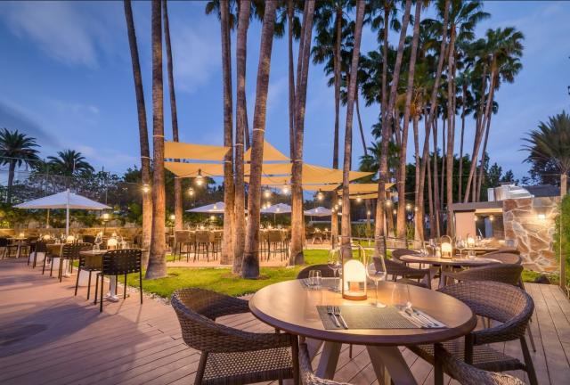 Barcelo Margaritas Royal Level