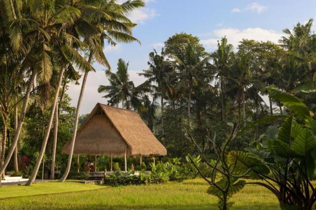 The Ubud Village Resort