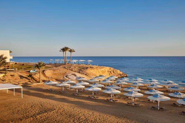 Solymar Reef Marsa