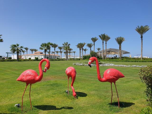 Ghazala Resort & Spa El Alamein (ex. Rixos Alamein)