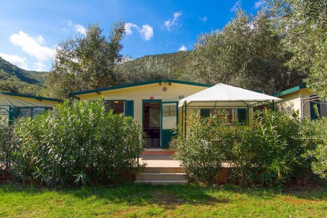 Camping Oliva