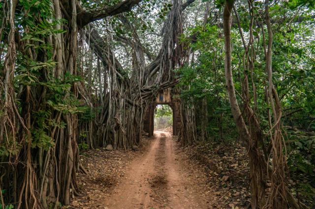 Legendárním vlakem Deccan Odyssey po Indii