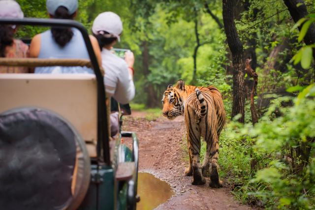 Legendárním vlakem Deccan Odyssey po Indii