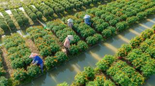 Vietnam a Kambodža: Od delty Mekongu k chrámům Angkoru