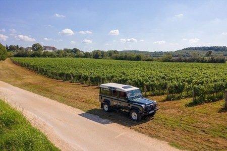 Roxanich Winery & Design Hotel