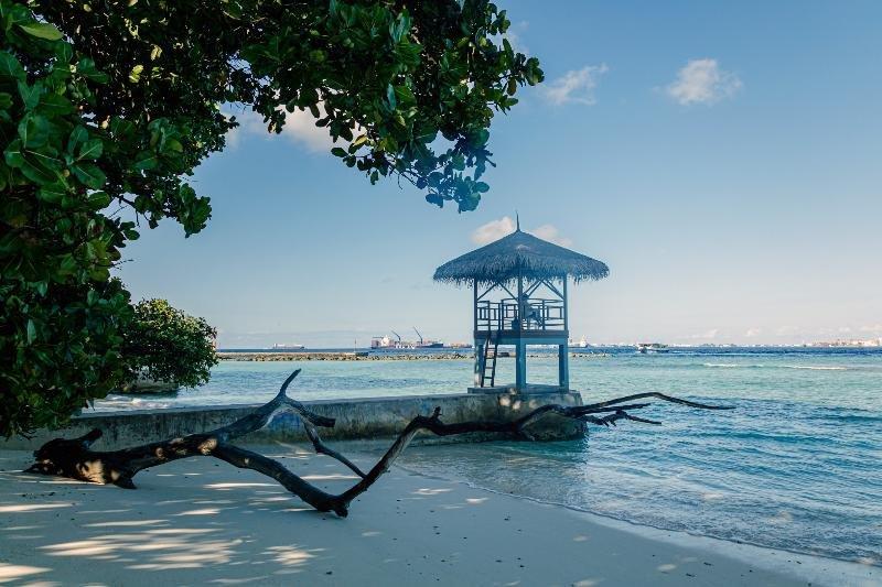Vinorva Maldives