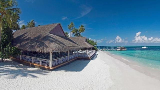 Malahini Kuda Bandos