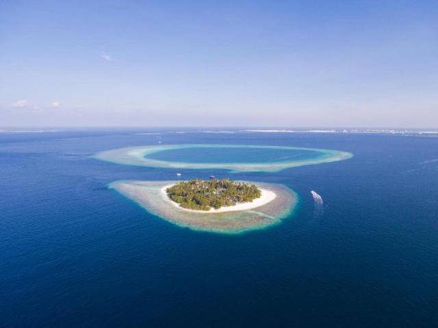 Malahini Kuda Bandos