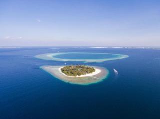 Malahini Kuda Bandos