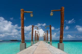 Malahini Kuda Bandos