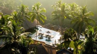 The Viceroy