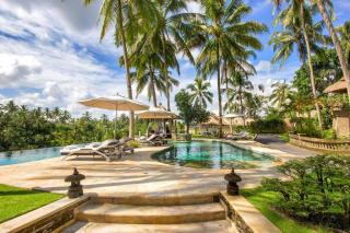 The Viceroy
