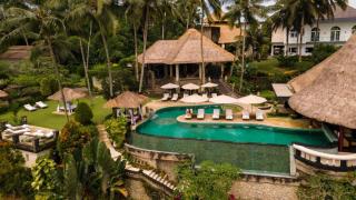 The Viceroy
