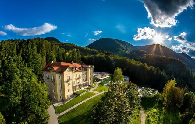Hotel Zdraviliski Dvor