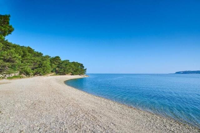 Apartmány Kanegra Plava Laguna