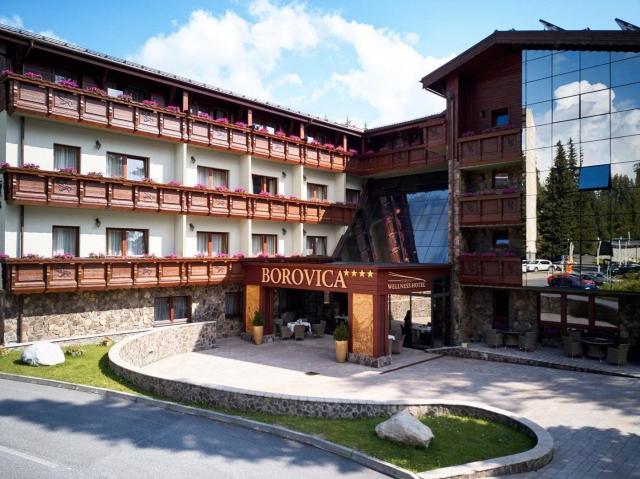 Borovica