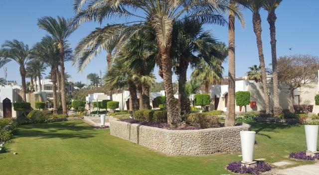 Hotel Regina Resort and Aquapark (ex. Zya Regina Resort & Aqua 