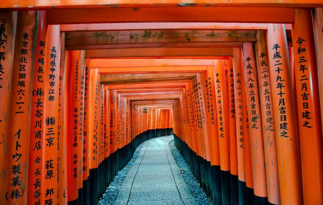 Torii cesta Inari