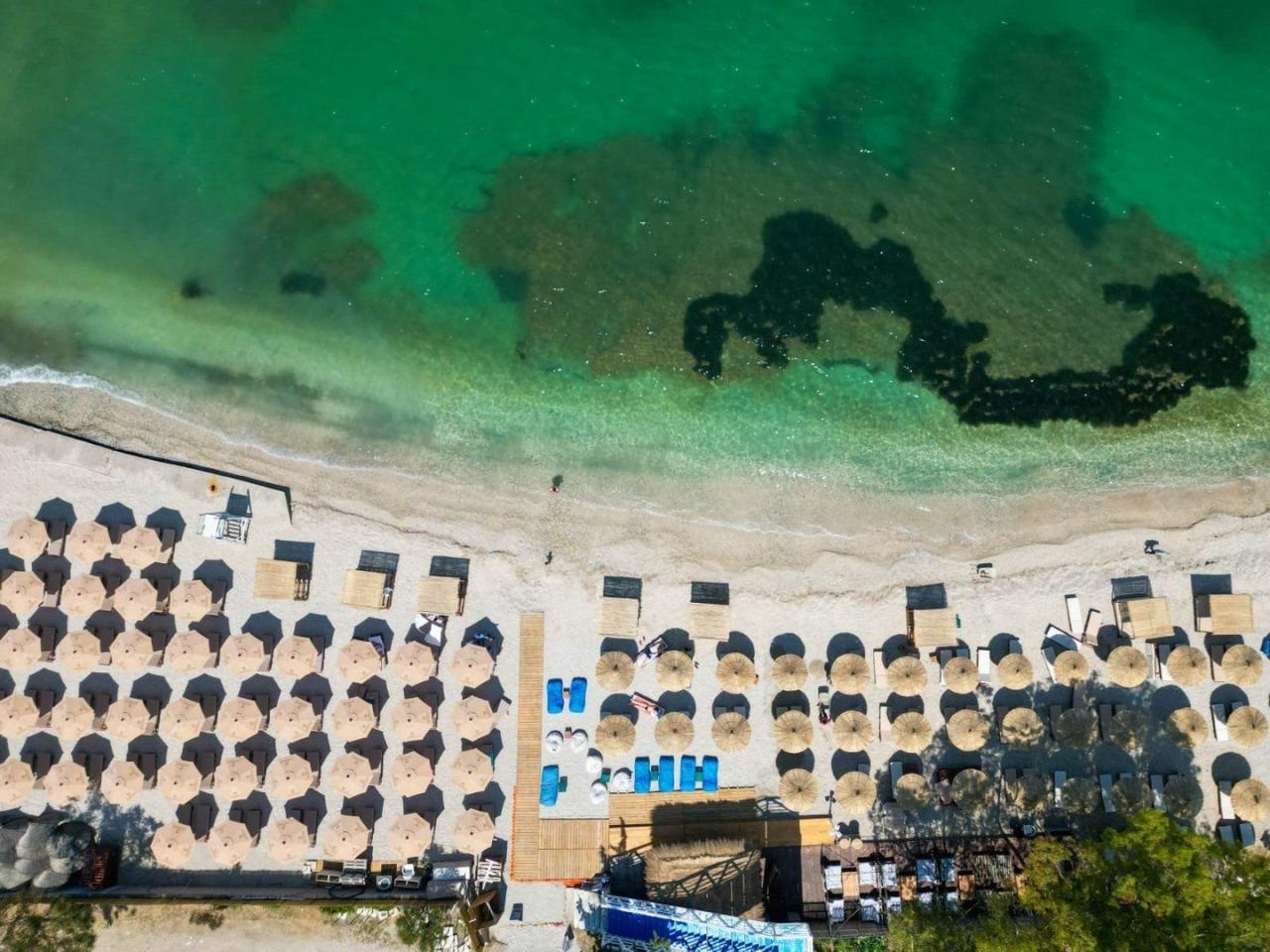 Hotel Regina Blue