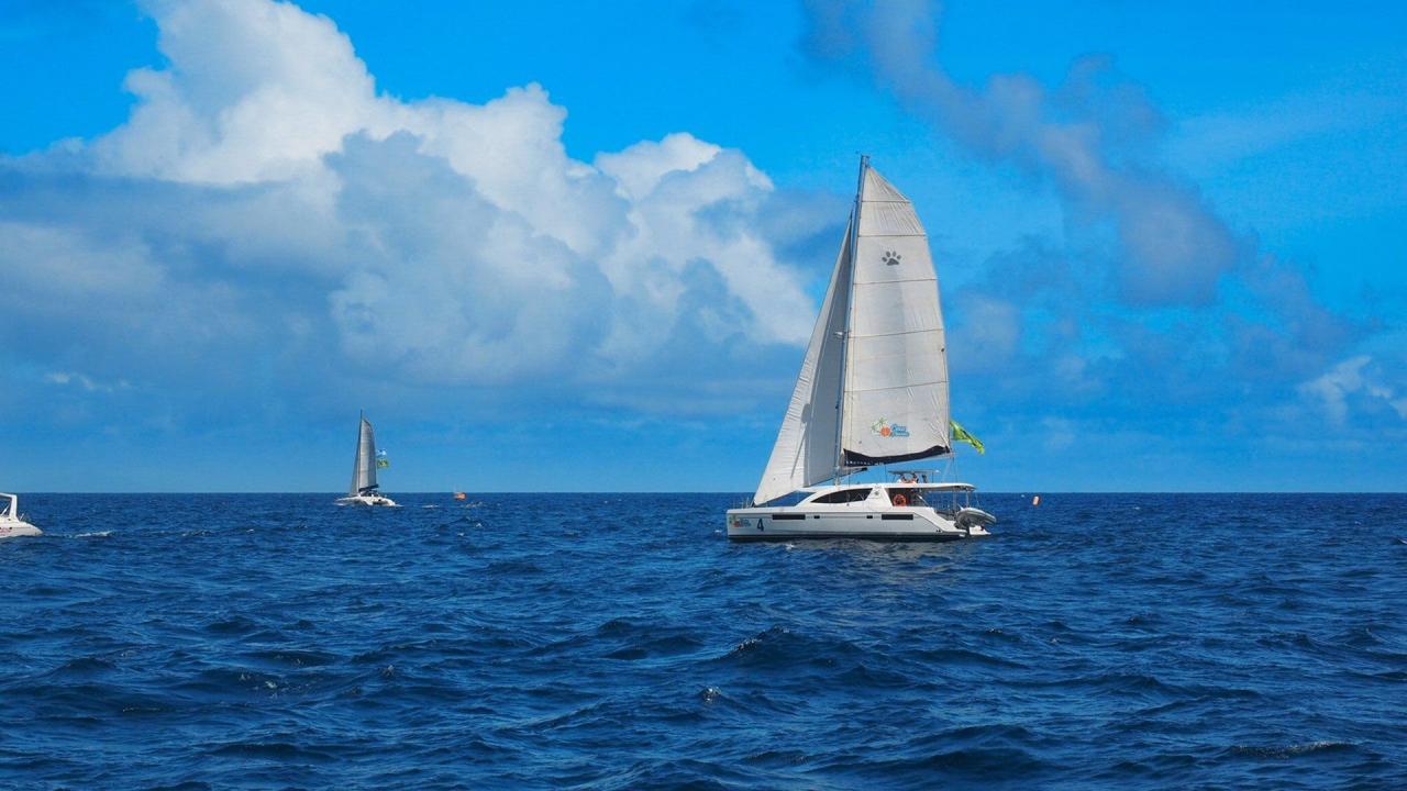 Ahoj Zanzibar!
