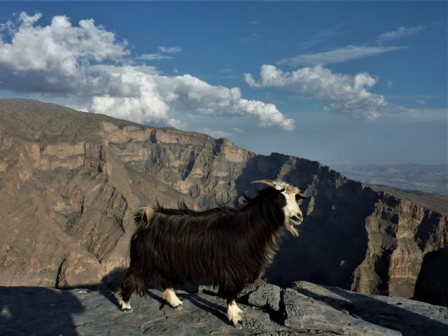 V kaňonu Wadi Nakhr