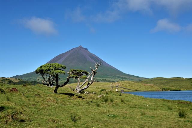 Vyhlídka na vulkán Pico od jezera Lagoa do Capitao