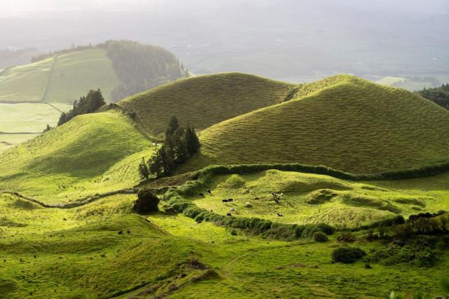 Typická zelená krajina na ostrově Sao Miguel