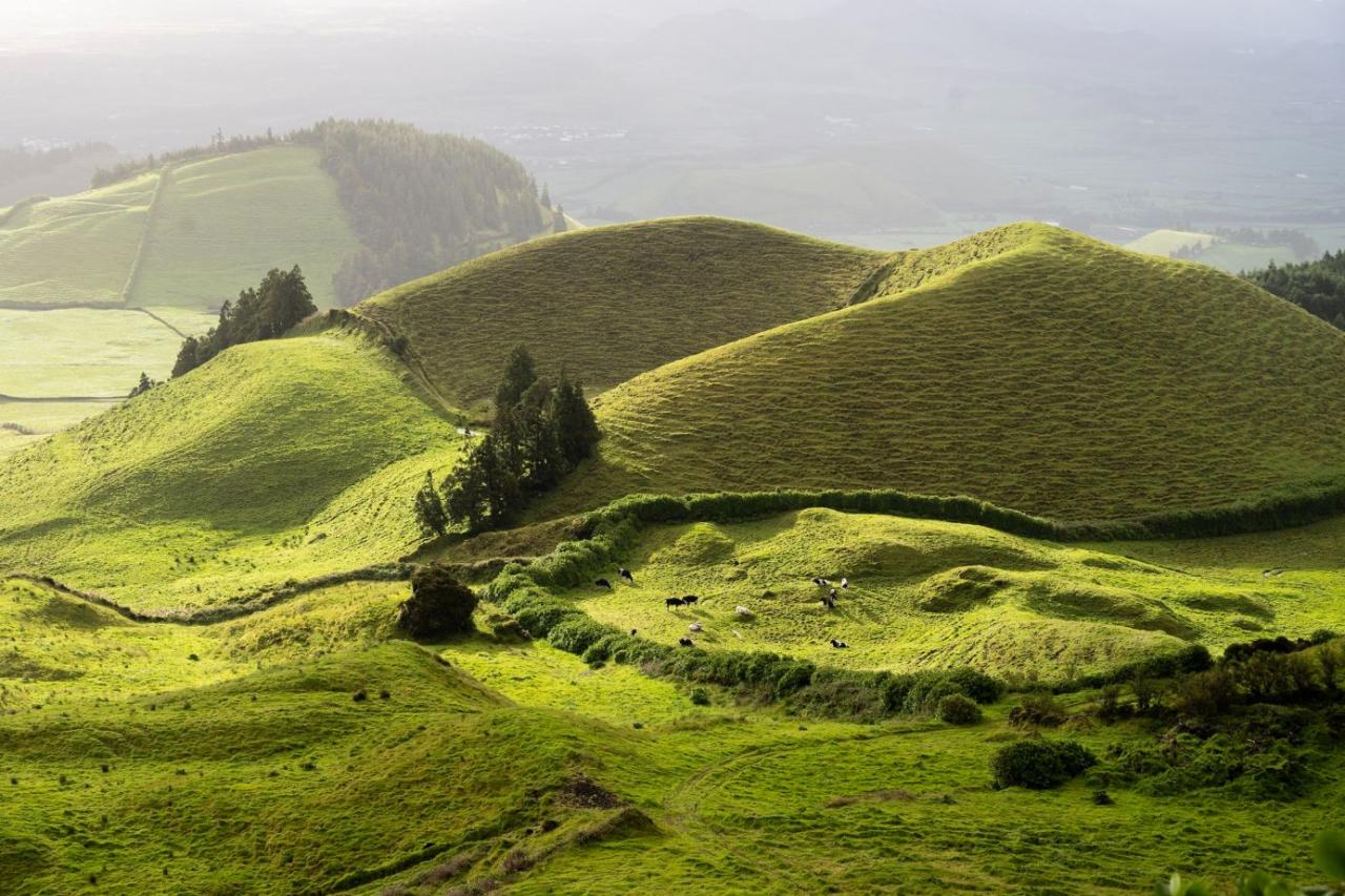 Typická zelená krajina na ostrově Sao Miguel
