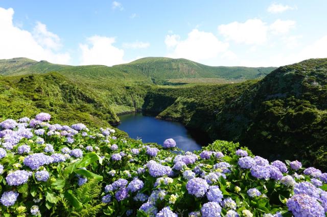 Flores a centrální část ostrova