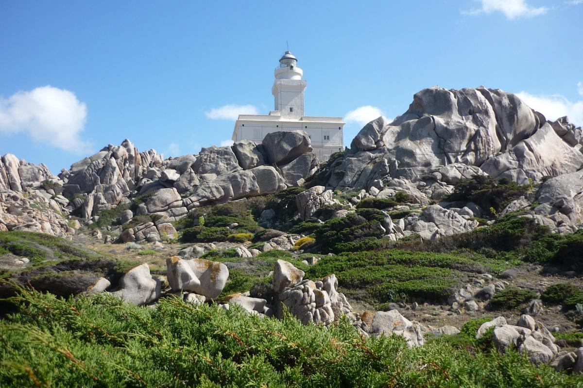 Sardínie