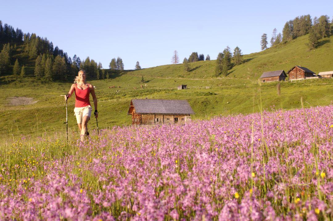 Nordic walking a rakouské salaše