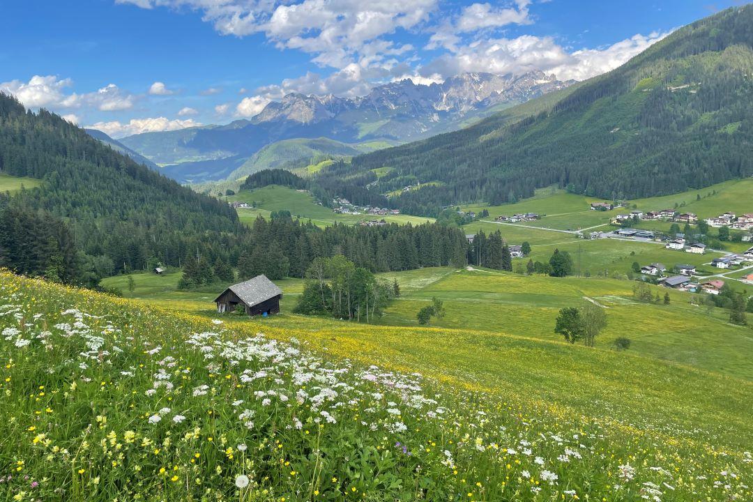Rozkvetlé jarní louky nad St. Martin am Tennengebirge