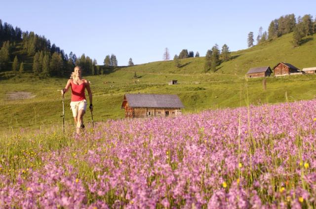 Nordic walking a rakouské salaše