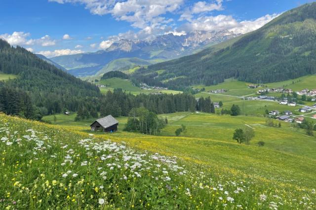 Rozkvetlé jarní louky nad St. Martin am Tennengebirge