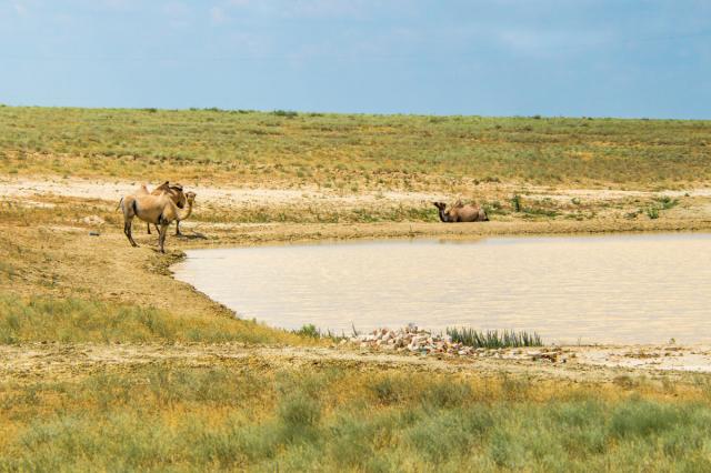 ma3oska-travel-uzbekistan-poznavaci-zajazd-18
