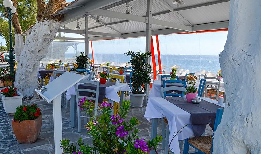 Restaurant-(1).jpg