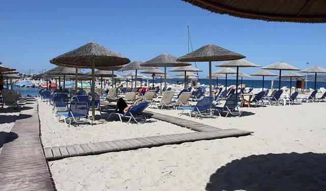 IMG_2646.jpg