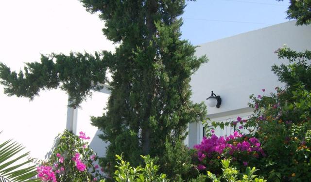 Mare-Village-21.jpg