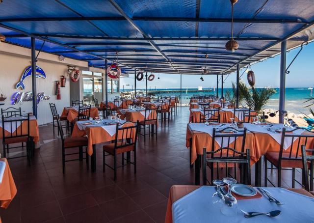 Desert Rose Resort