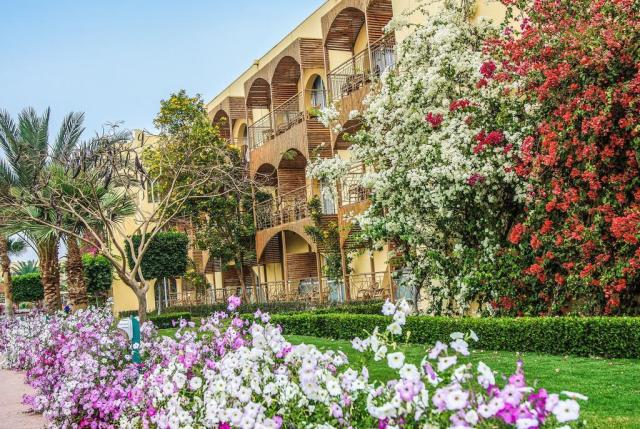 Desert Rose Resort