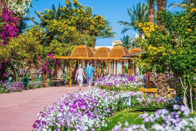 Desert Rose Resort
